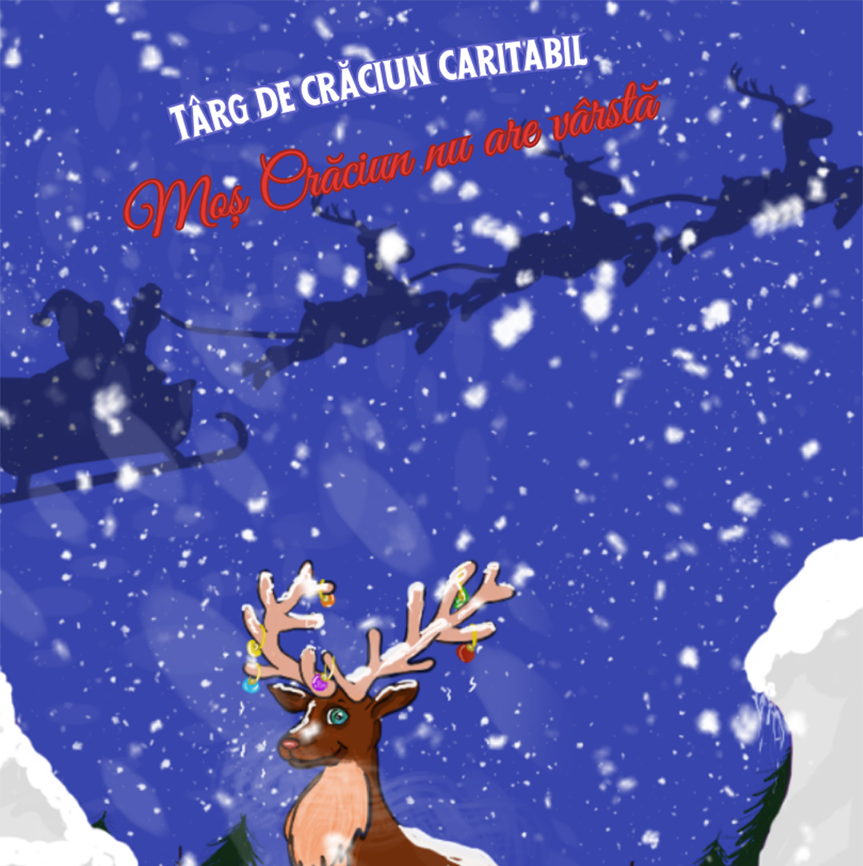 Târg de Crăciun Caritabil!